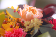 Elena-en-Markus_11321