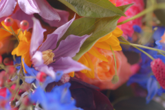 Elena-en-Markus_11341